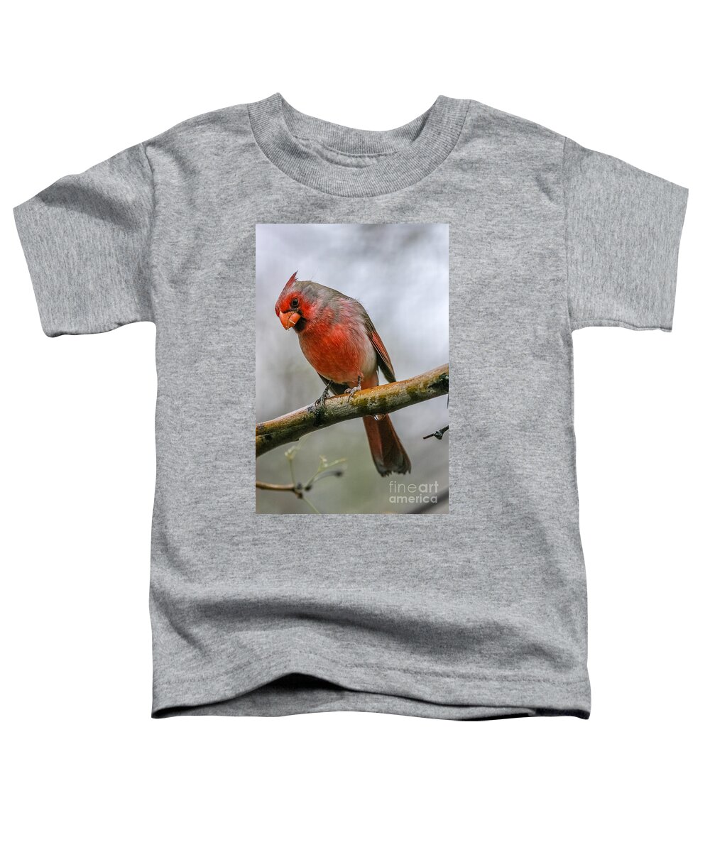 Al Andersen Toddler T-Shirt featuring the photograph Northern Cardinal 2 by Al Andersen