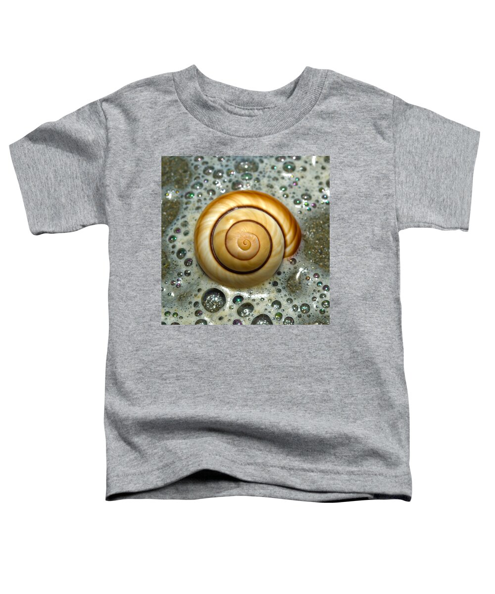 Shell Toddler T-Shirt featuring the photograph Ocean Shell Spiral by Sandi OReilly