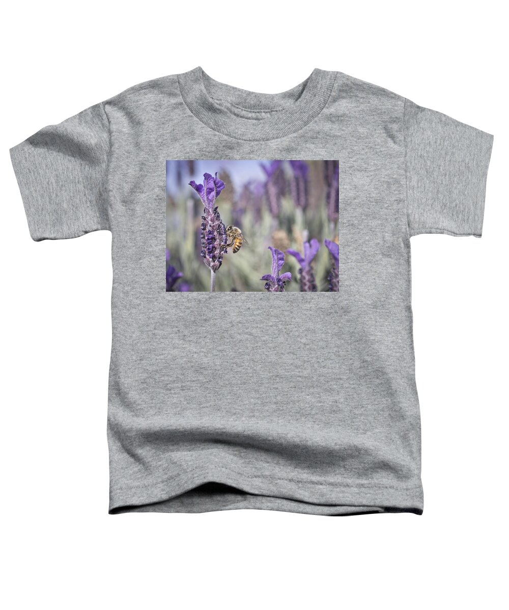 Bee Toddler T-Shirt featuring the photograph On The Lavender by Priya Ghose