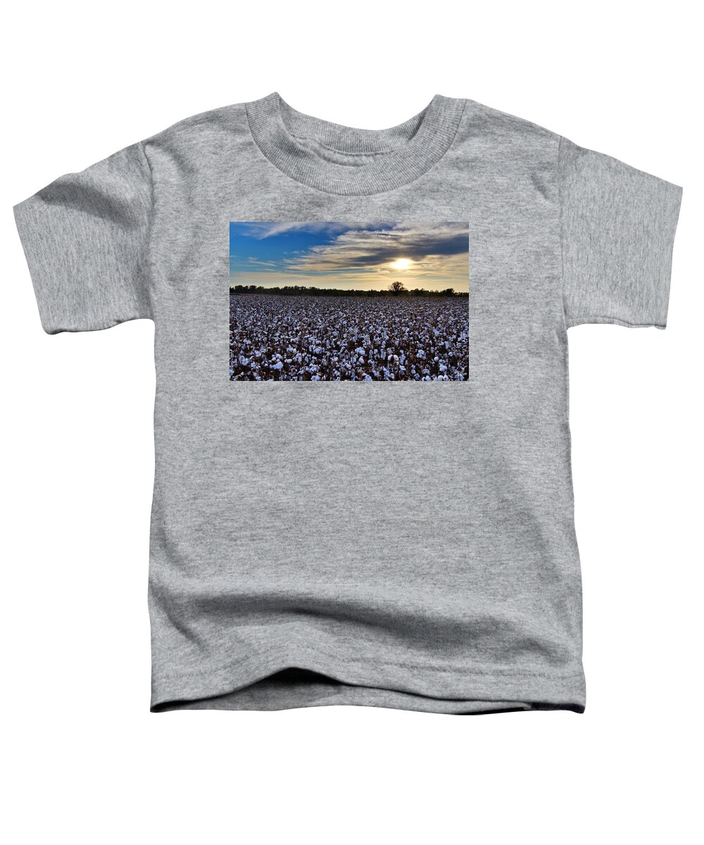 Ag Toddler T-Shirt featuring the photograph Open Boll Sunset by David Zarecor