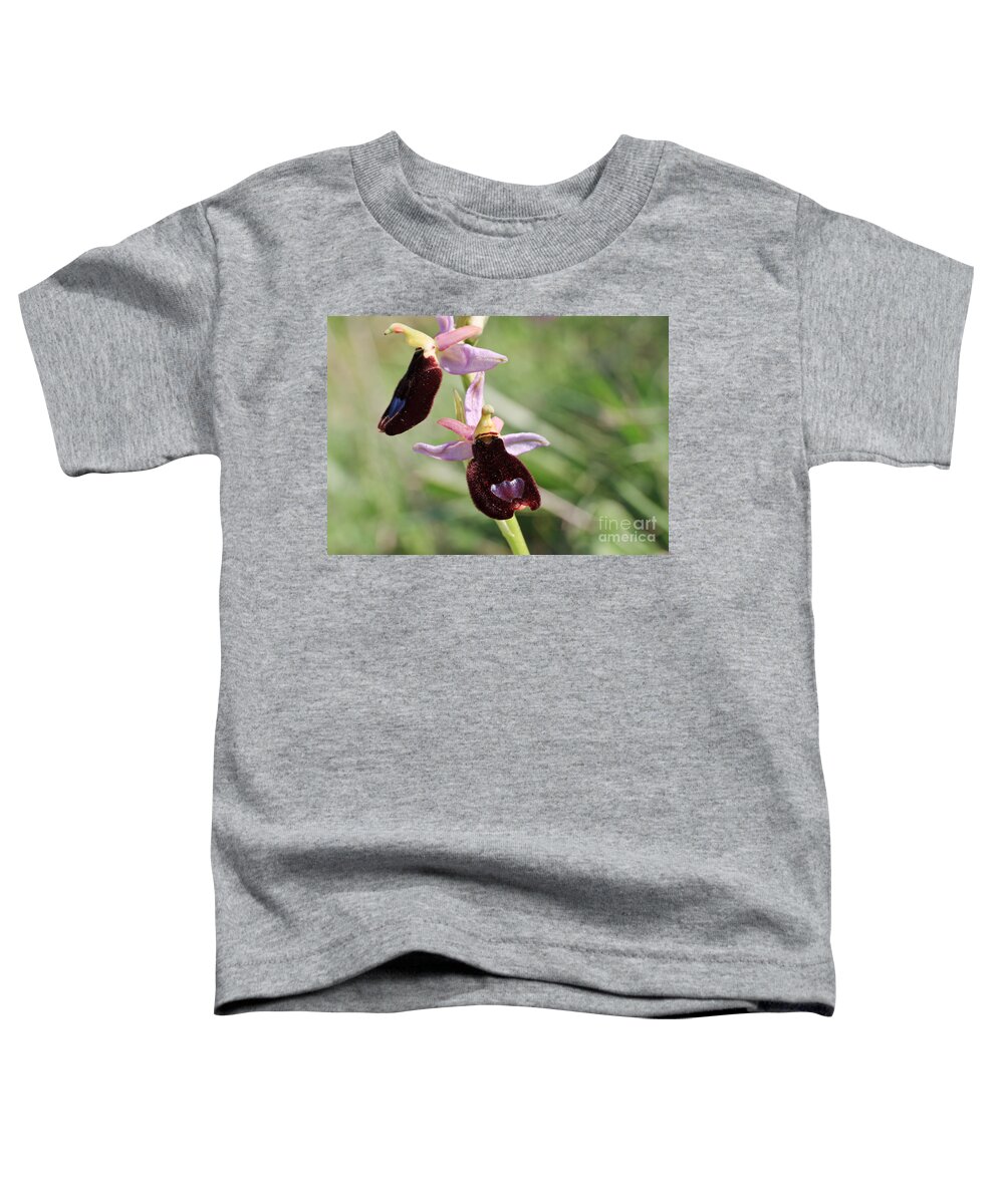 Beautiful Toddler T-Shirt featuring the photograph Ophrys Bertolonii by Antonio Scarpi