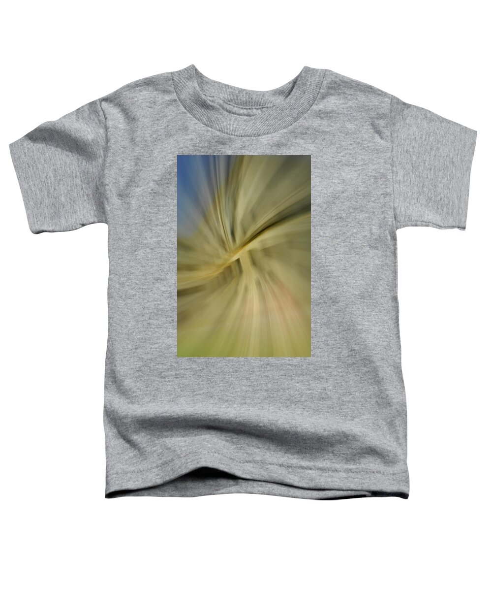 Architecture Toddler T-Shirt featuring the photograph Out of Control by Donna Blackhall