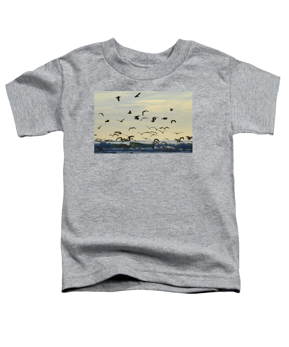 Coast Toddler T-Shirt featuring the photograph Party Is Over by Donna Blackhall