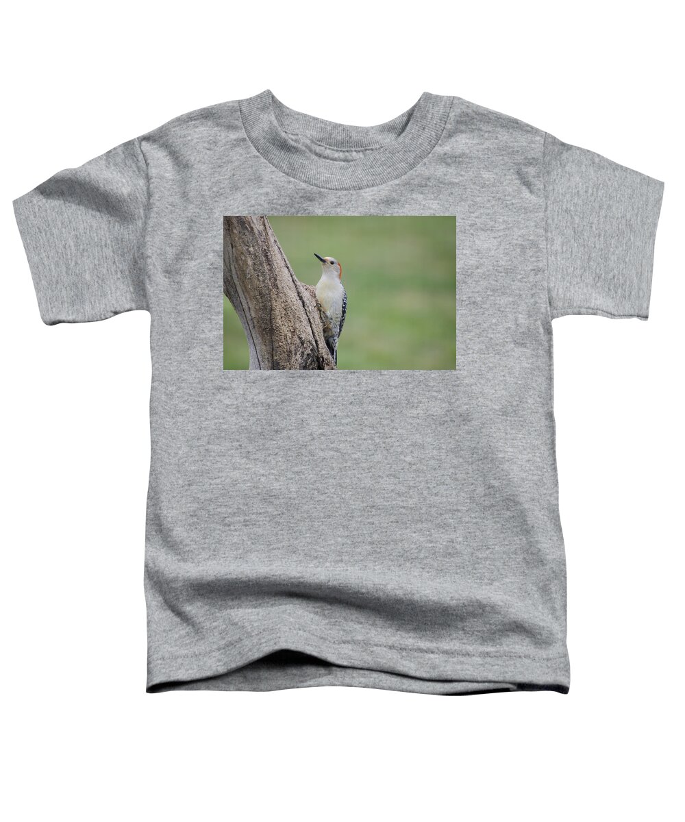 Woodpecker Toddler T-Shirt featuring the photograph Pecker by Heather Applegate