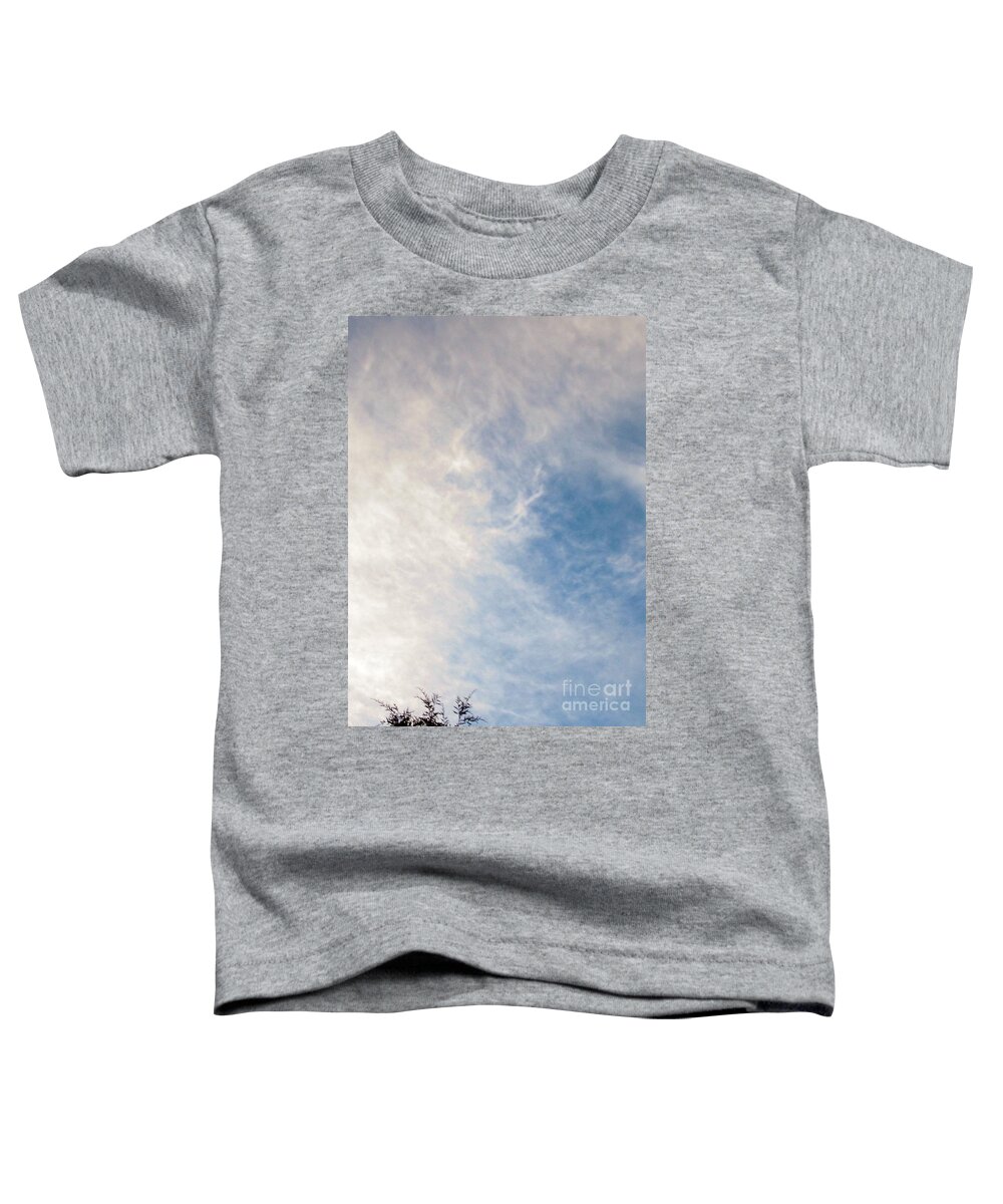 Pets Toddler T-Shirt featuring the digital art All Pets Go To Heaven by Matthew Seufer