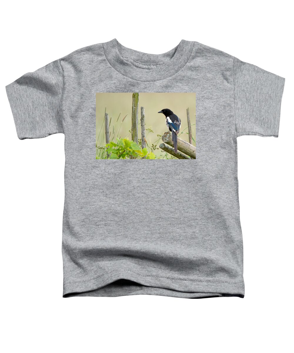 Pica Pica Toddler T-Shirt featuring the photograph Pica pica by Torbjorn Swenelius