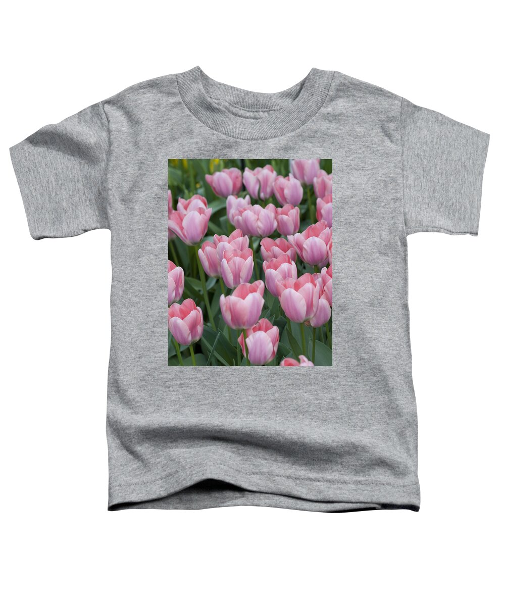 Pink Toddler T-Shirt featuring the photograph Pink Beauties by Juli Scalzi