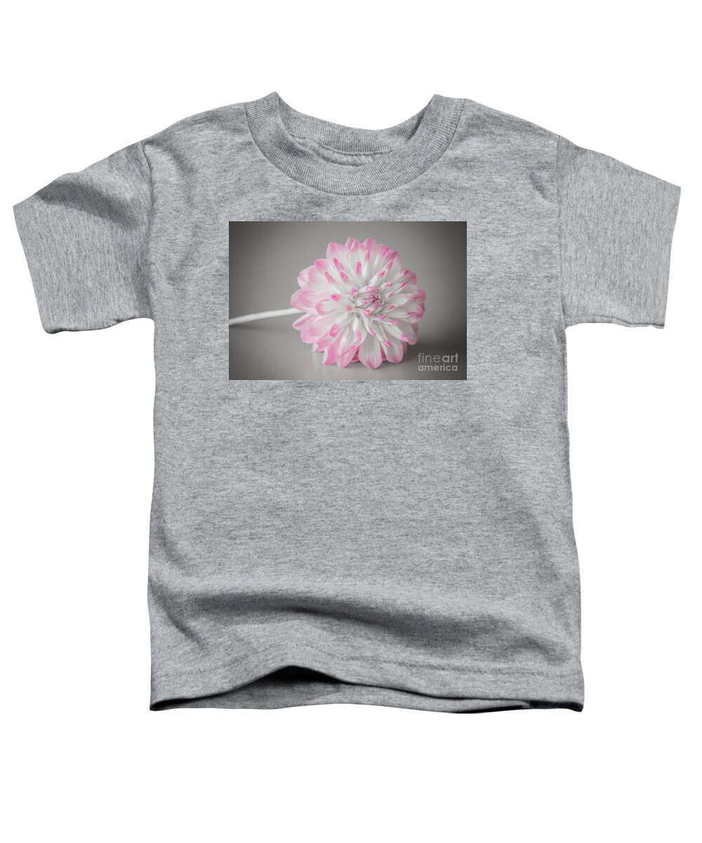 Flower Toddler T-Shirt featuring the photograph Pink Dahlia by Amanda Mohler