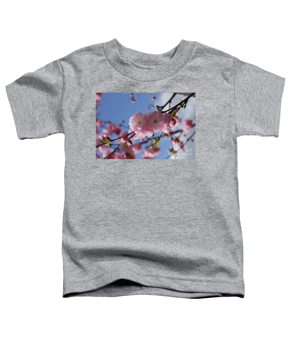 Landscape Toddler T-Shirt featuring the photograph Pink Plum on Sky 2 by Donna L Munro