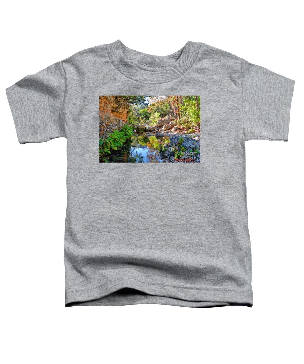 Hint Of Fall Toddler T-Shirt featuring the photograph Pond at lost Maples by Savannah Gibbs
