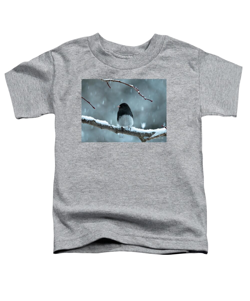 Landscapes Toddler T-Shirt featuring the photograph Pretty Junco by Cheryl Baxter