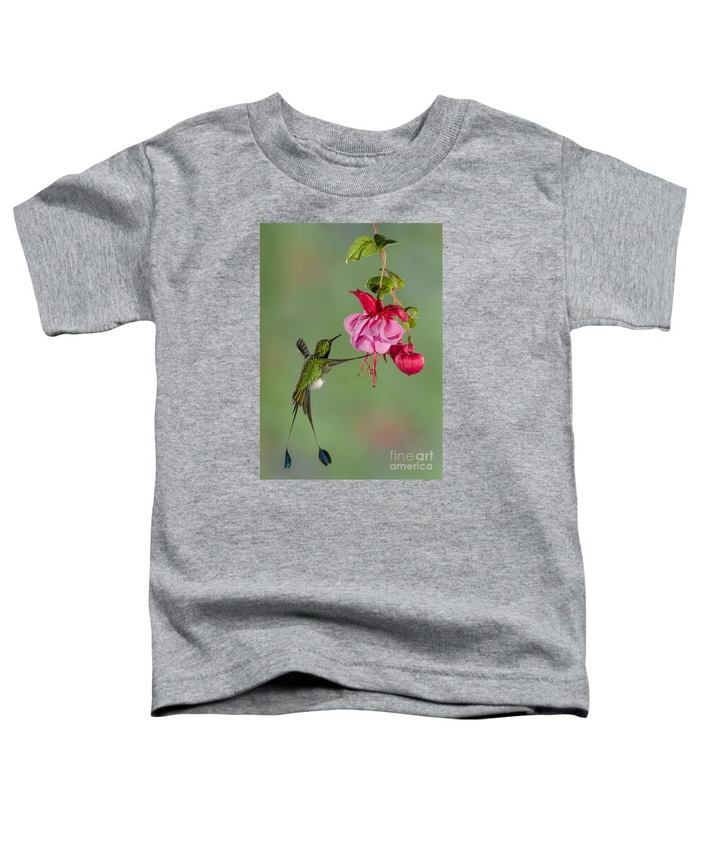Andies Toddler T-Shirt featuring the photograph Rackettail Hummingbird Approach by Jerry Fornarotto