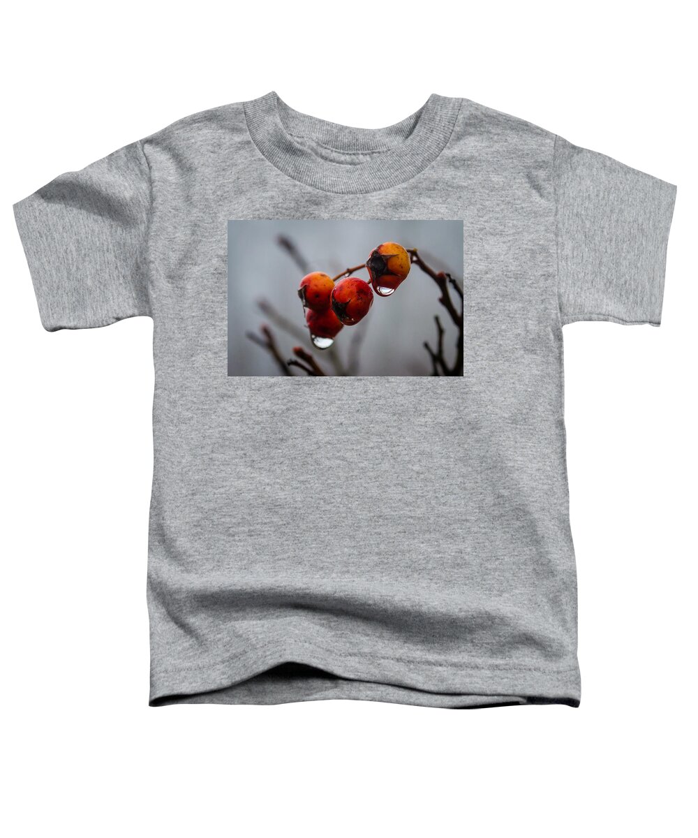 Turkey Brook Park Toddler T-Shirt featuring the photograph Rain Berries I by GeeLeesa Productions