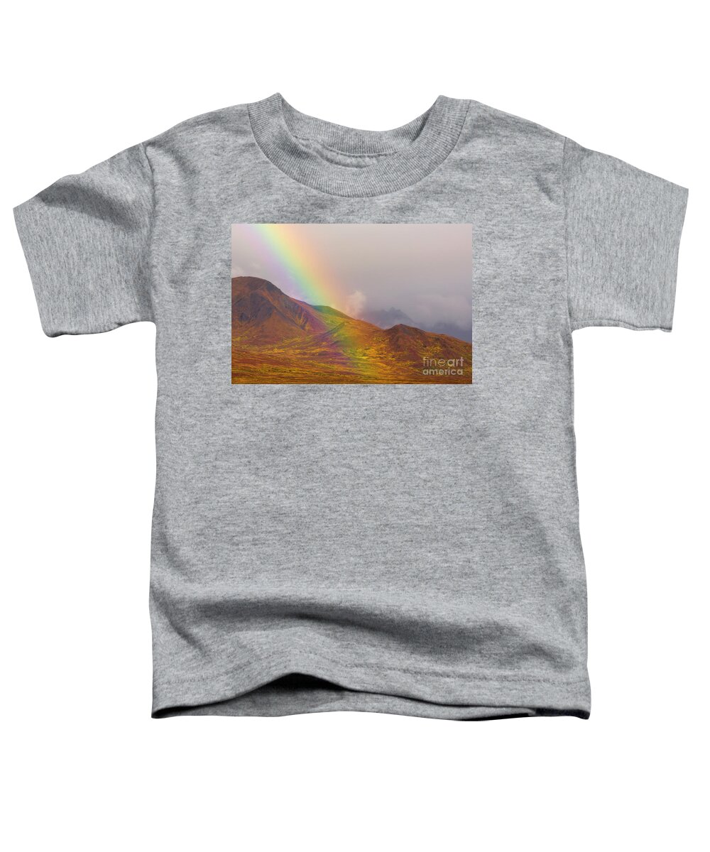 00431055 Toddler T-Shirt featuring the photograph Rainbow Over Fall Tundra in Denali by Yva Momatiuk John Eastcott