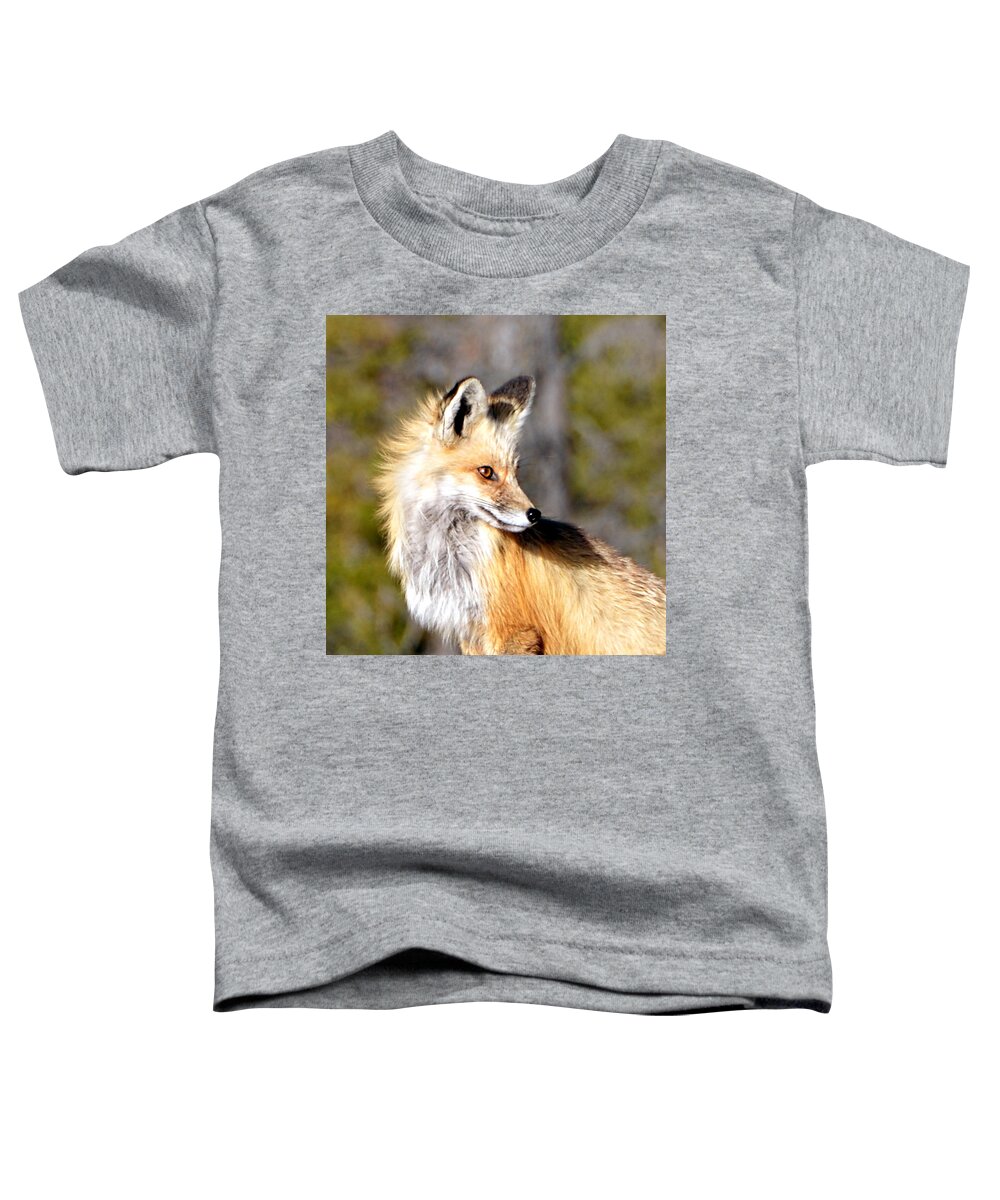 Red Toddler T-Shirt featuring the photograph Red Fox Face by Tranquil Light Photography