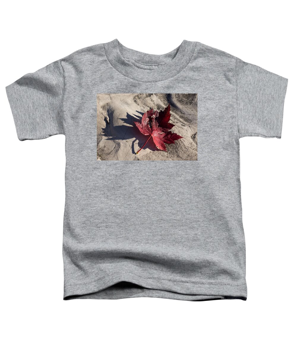 Maple Leaf Toddler T-Shirt featuring the photograph Reds and Purples - Deep Red Maple Leaf and Its Shadow by Georgia Mizuleva