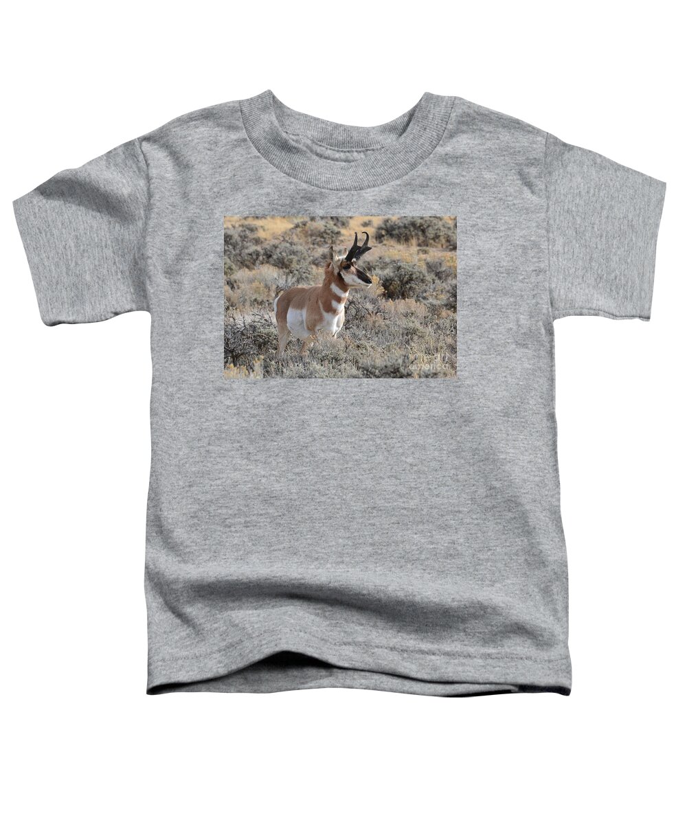 Antelope Toddler T-Shirt featuring the photograph Regal Patriarch by Dorrene BrownButterfield