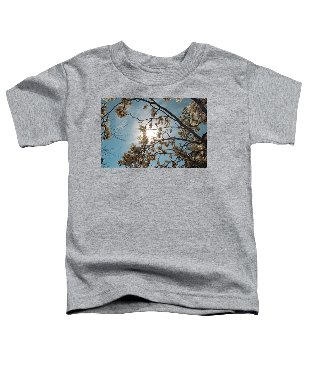 Nature Toddler T-Shirt featuring the photograph Remembering The Eternal by Rory Siegel