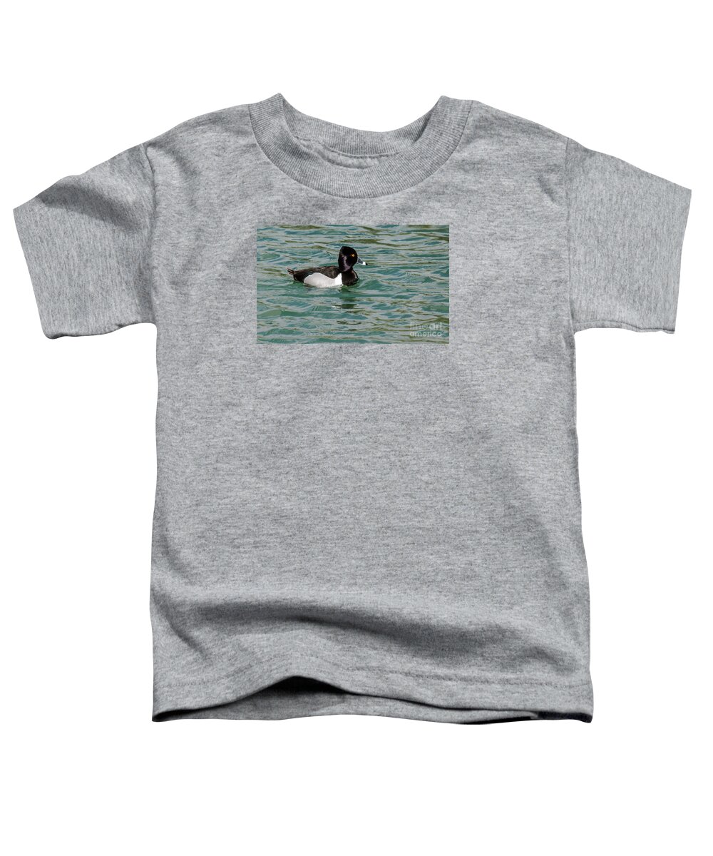 Waterfowl Toddler T-Shirt featuring the photograph Ring-Necked Duck by Robert Bales