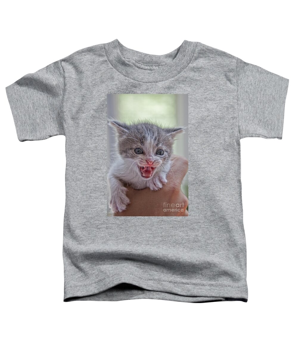 Feline Toddler T-Shirt featuring the photograph Roar by Timothy Hacker