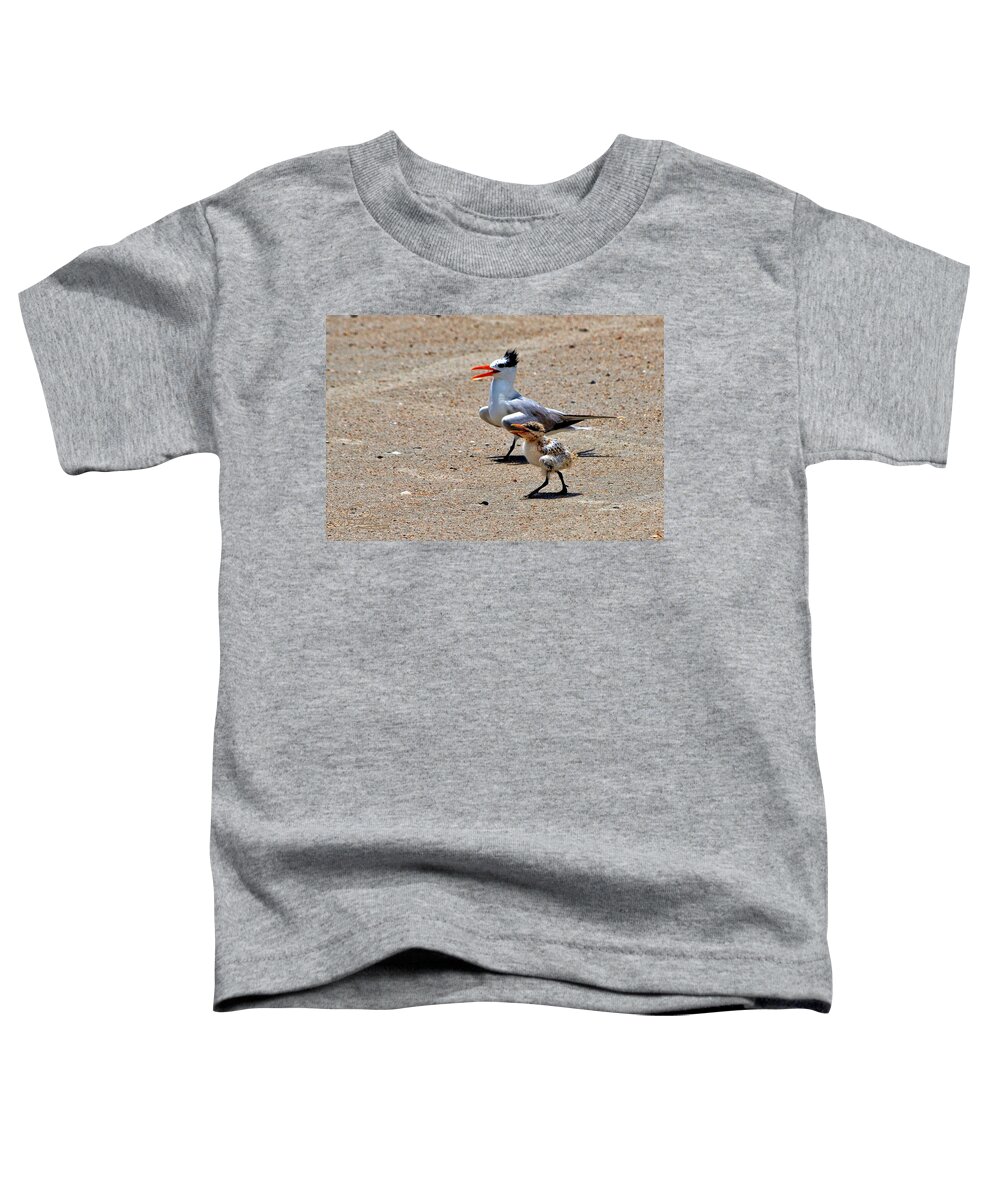 Bird Toddler T-Shirt featuring the photograph Royal Tern with Chick by Ludwig Keck