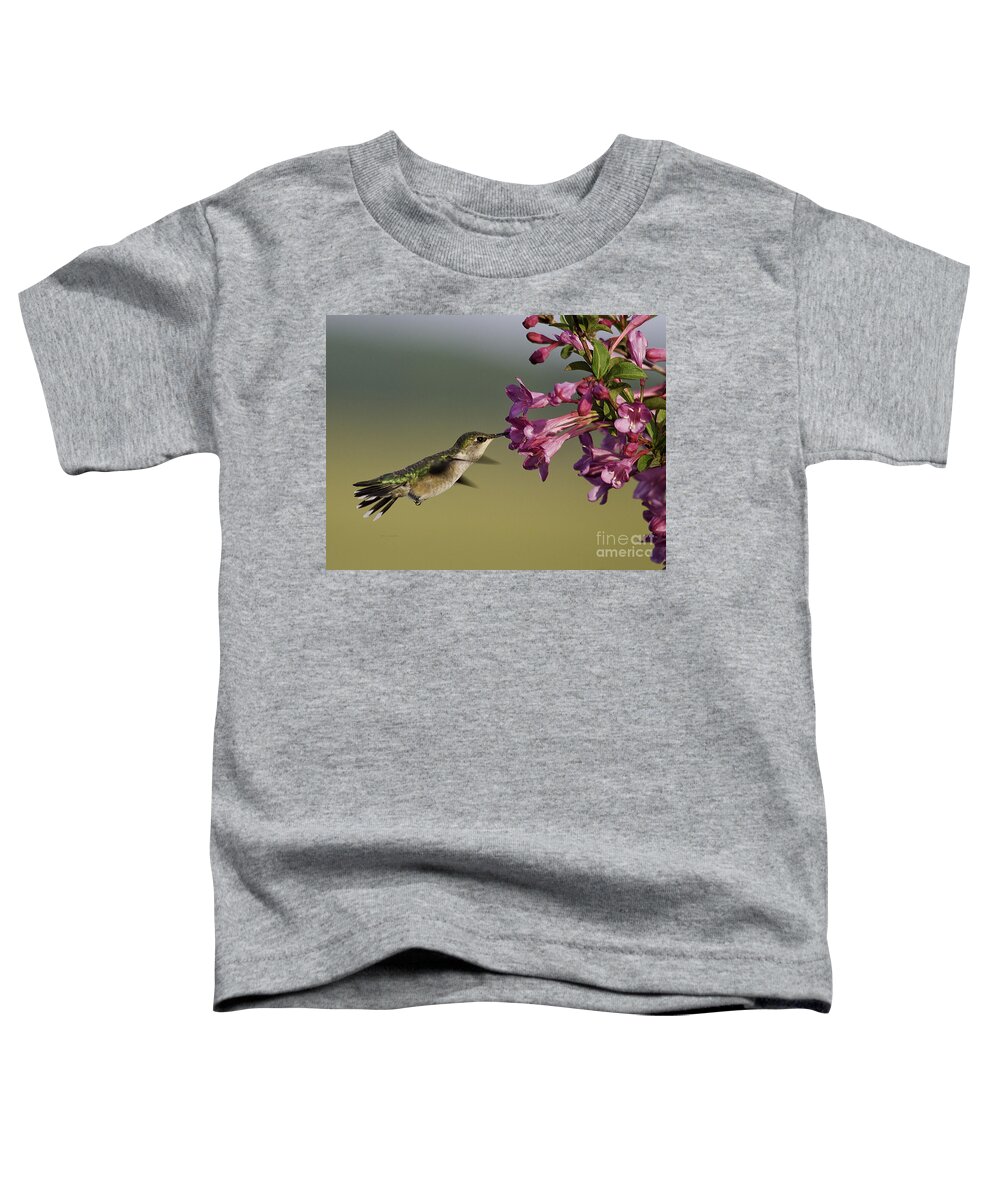 Humming Bird Toddler T-Shirt featuring the photograph Ruby in Pink by Jan Killian