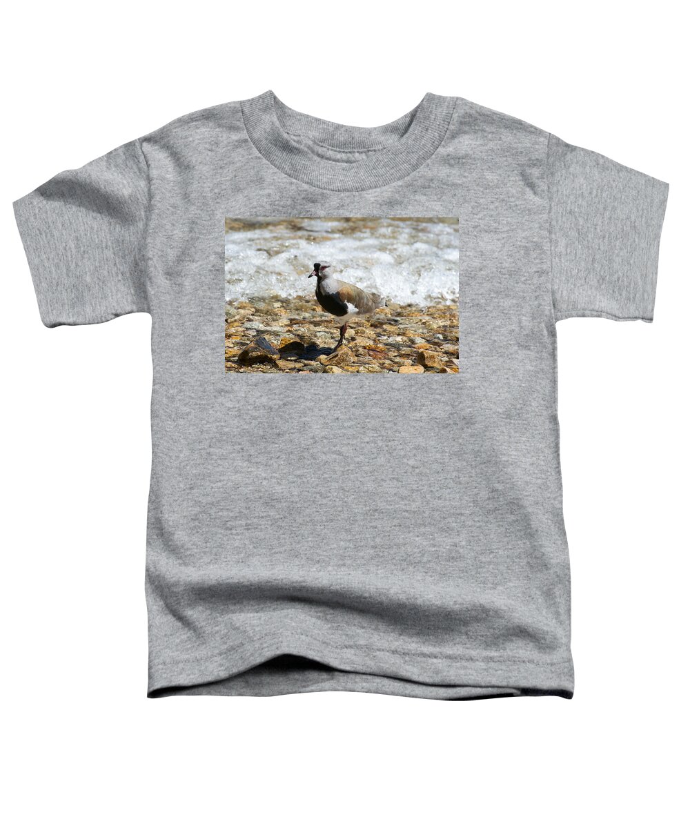 Photograph Toddler T-Shirt featuring the photograph Sandpiper by Richard Gehlbach