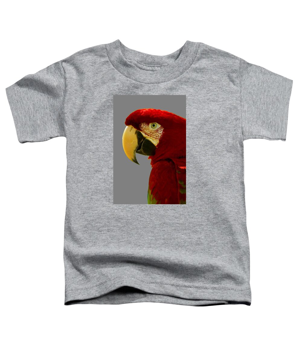 Macaw Toddler T-Shirt featuring the photograph Scarlet Macaw by Bill Barber