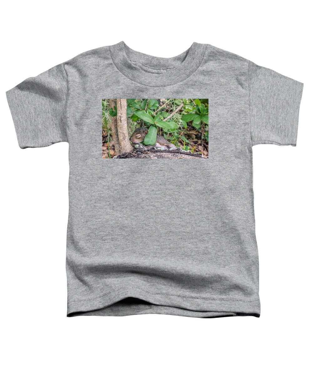 Adorable Toddler T-Shirt featuring the photograph Sciurus carolinensis by Traveler's Pics