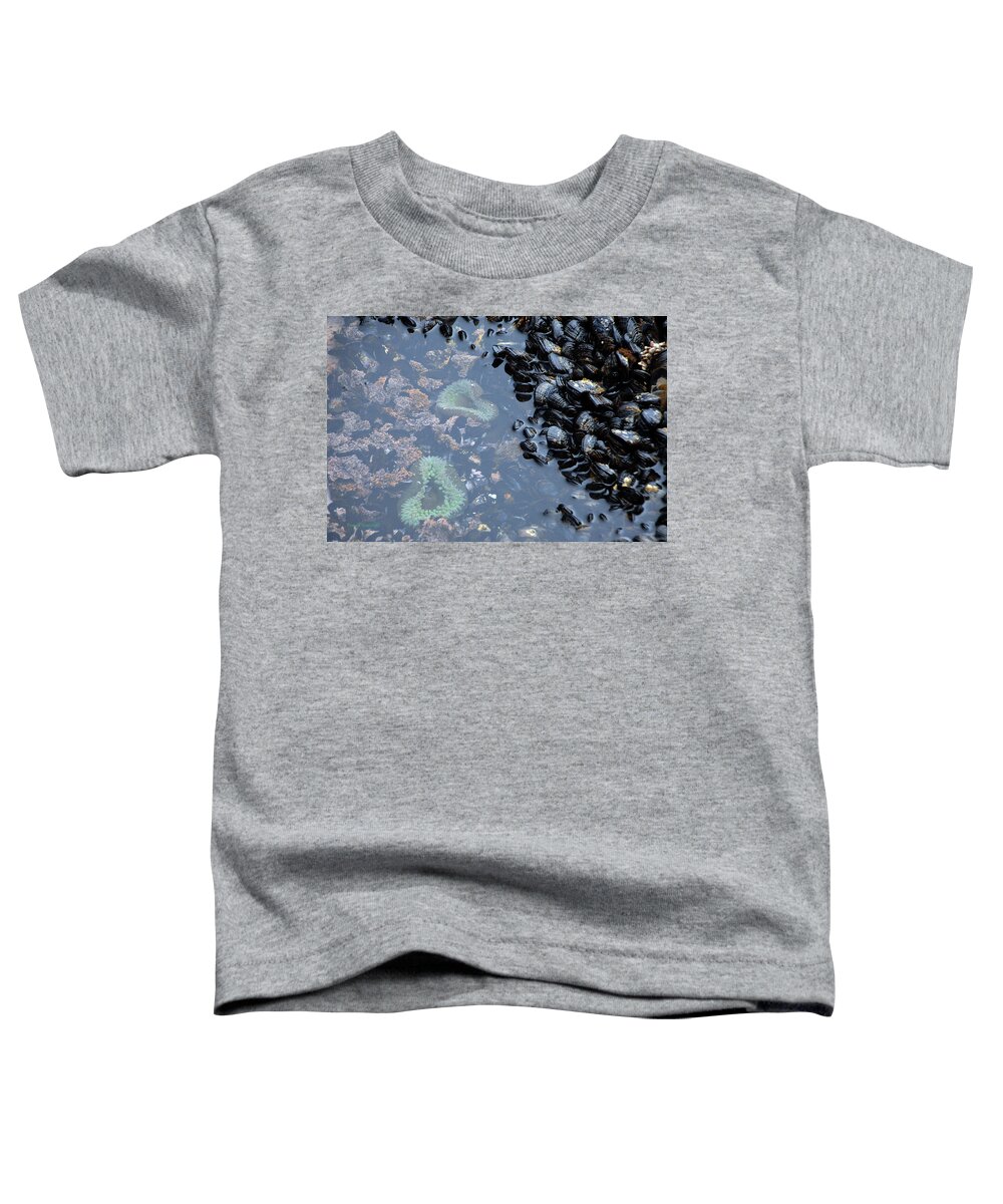 Muscles Toddler T-Shirt featuring the photograph Sea Soup by Donna Blackhall