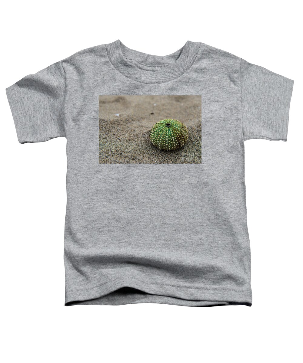 Friaul-julisch Venetien Toddler T-Shirt featuring the photograph Sea Urchin by Hannes Cmarits
