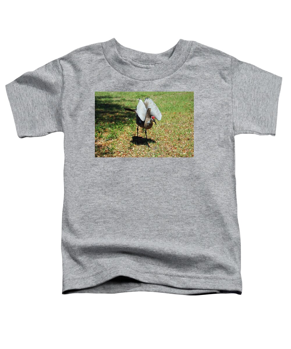 Sandhill Crane Toddler T-Shirt featuring the photograph Show Off by Aimee L Maher ALM GALLERY