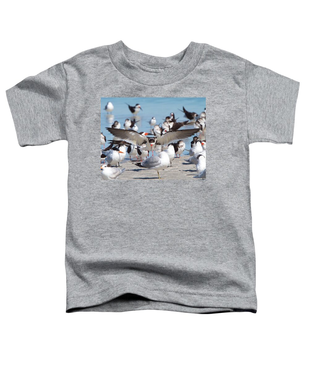 Black Skimmer Toddler T-Shirt featuring the photograph Skimmer Landing by David Beebe