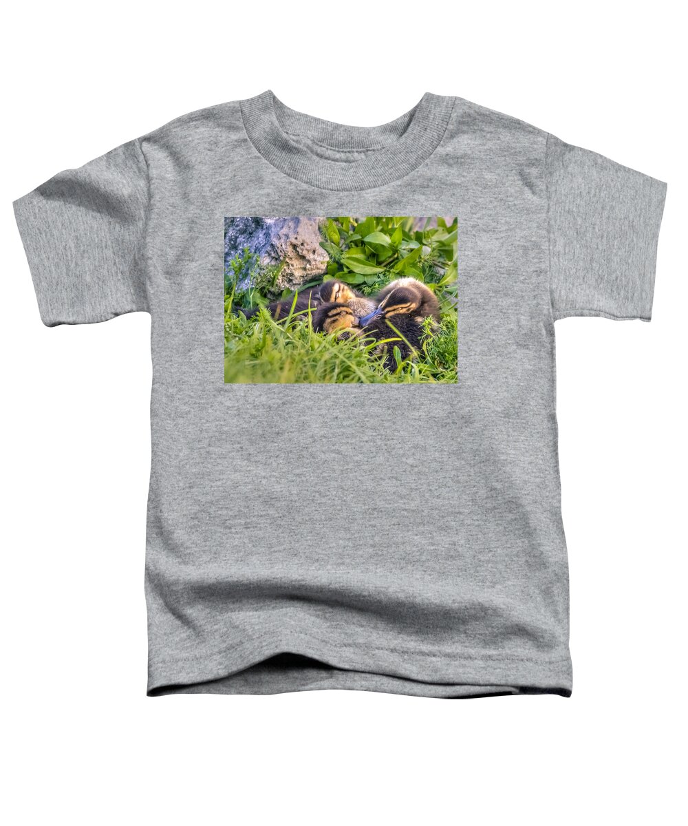 Adorable Toddler T-Shirt featuring the photograph Sleepy Ducklings by Rob Sellers
