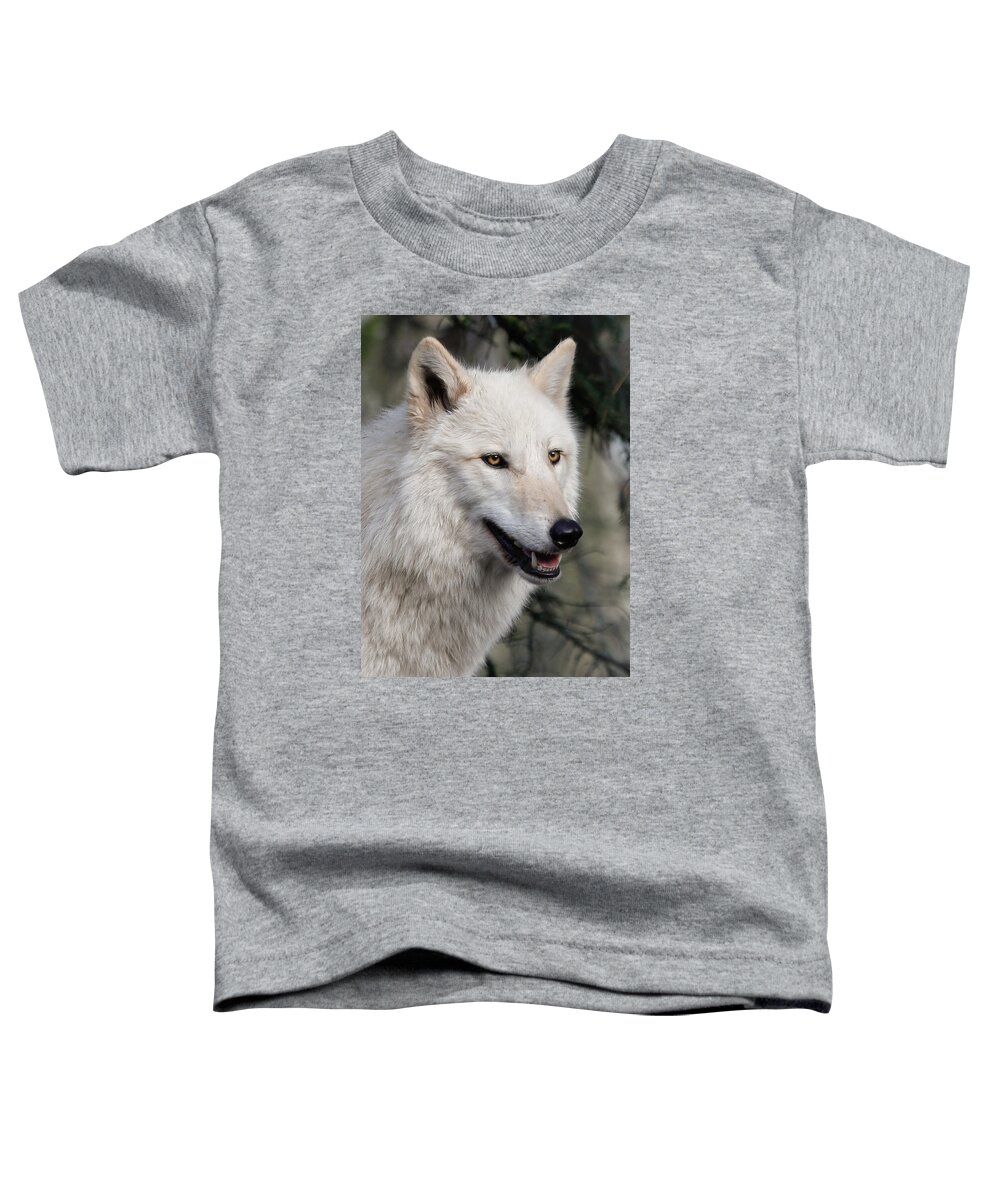 Wolves Toddler T-Shirt featuring the photograph Smiling White Arctic Wolf by Athena Mckinzie