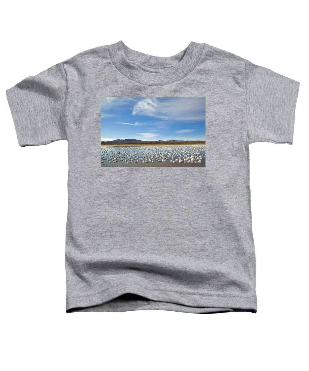 00536710 Toddler T-Shirt featuring the photograph Snow Geese Bosque Del Apache by Yva Momatiuk John Eastcott