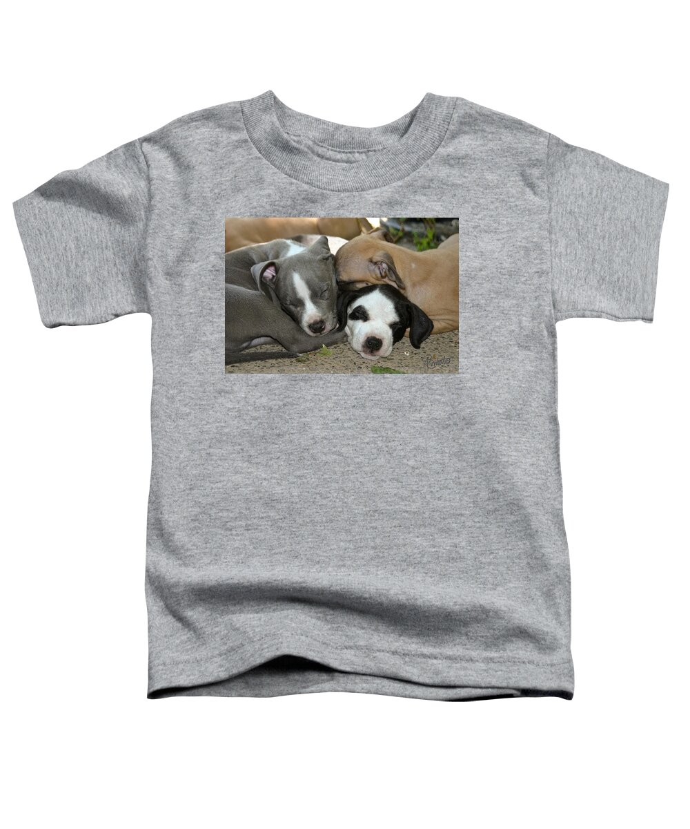 Pit Bull Toddler T-Shirt featuring the photograph Snuggly by Ann Ranlett
