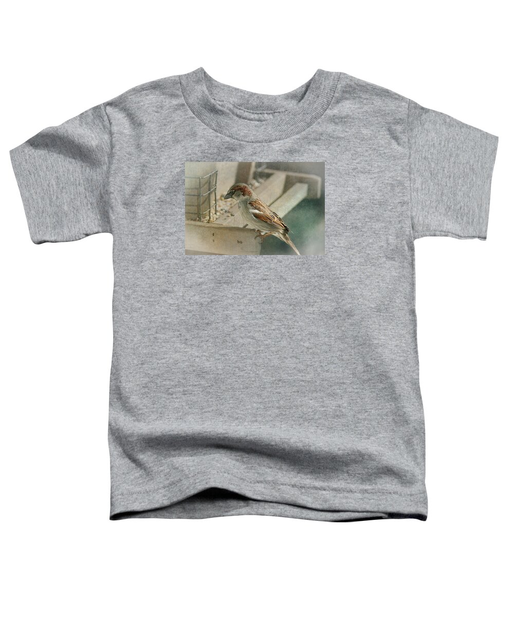 Sparrow Toddler T-Shirt featuring the photograph Sparrow 1 by Susan McMenamin