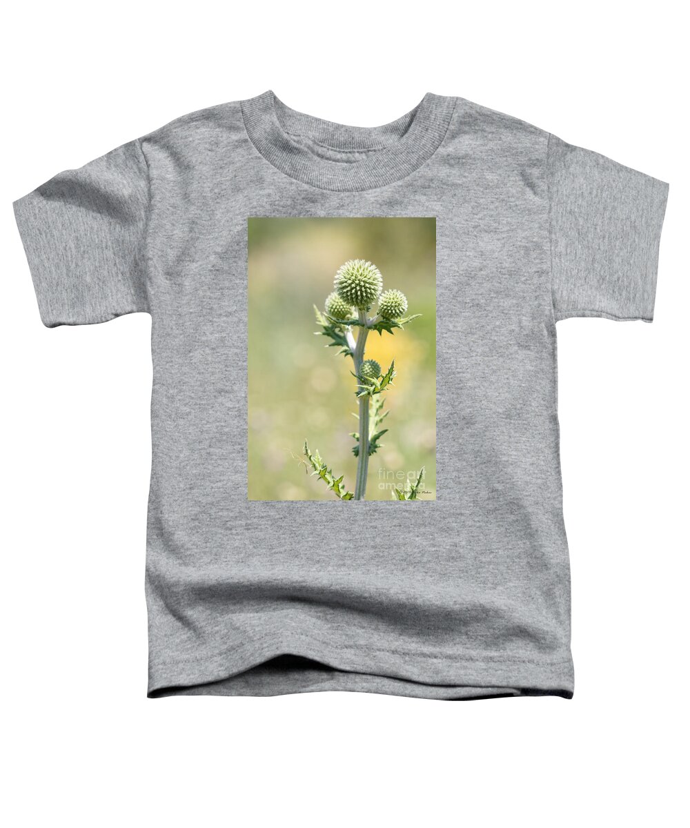 Nature Toddler T-Shirt featuring the photograph Spiky green by Jivko Nakev