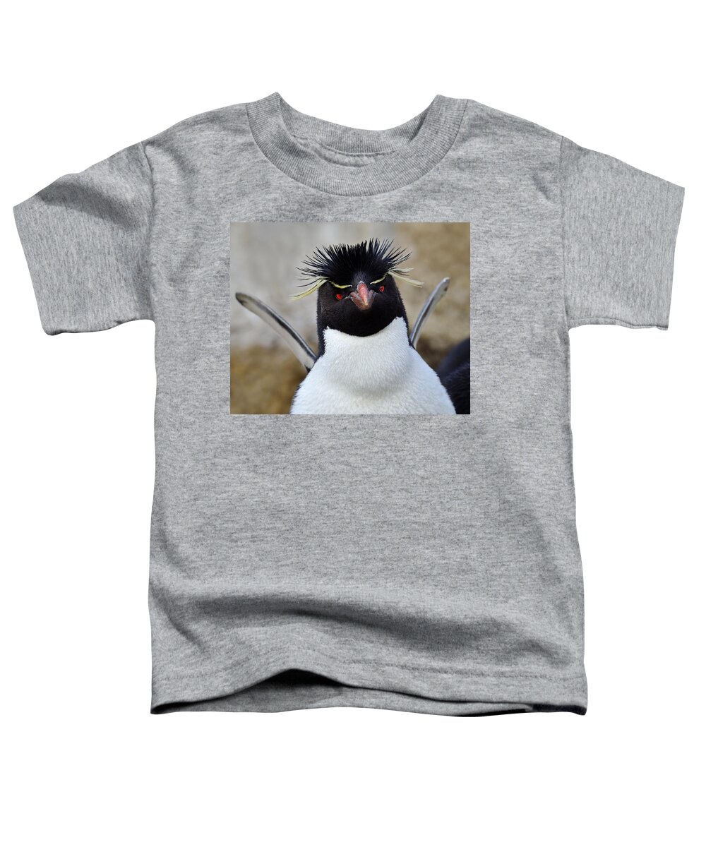 Eudyptes Chrysocome Chrysocome Toddler T-Shirt featuring the photograph Spiky by Tony Beck