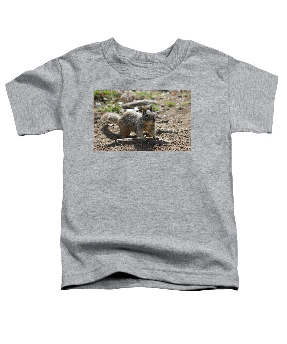 Ground Toddler T-Shirt featuring the photograph Squirrel Play by Christy Pooschke