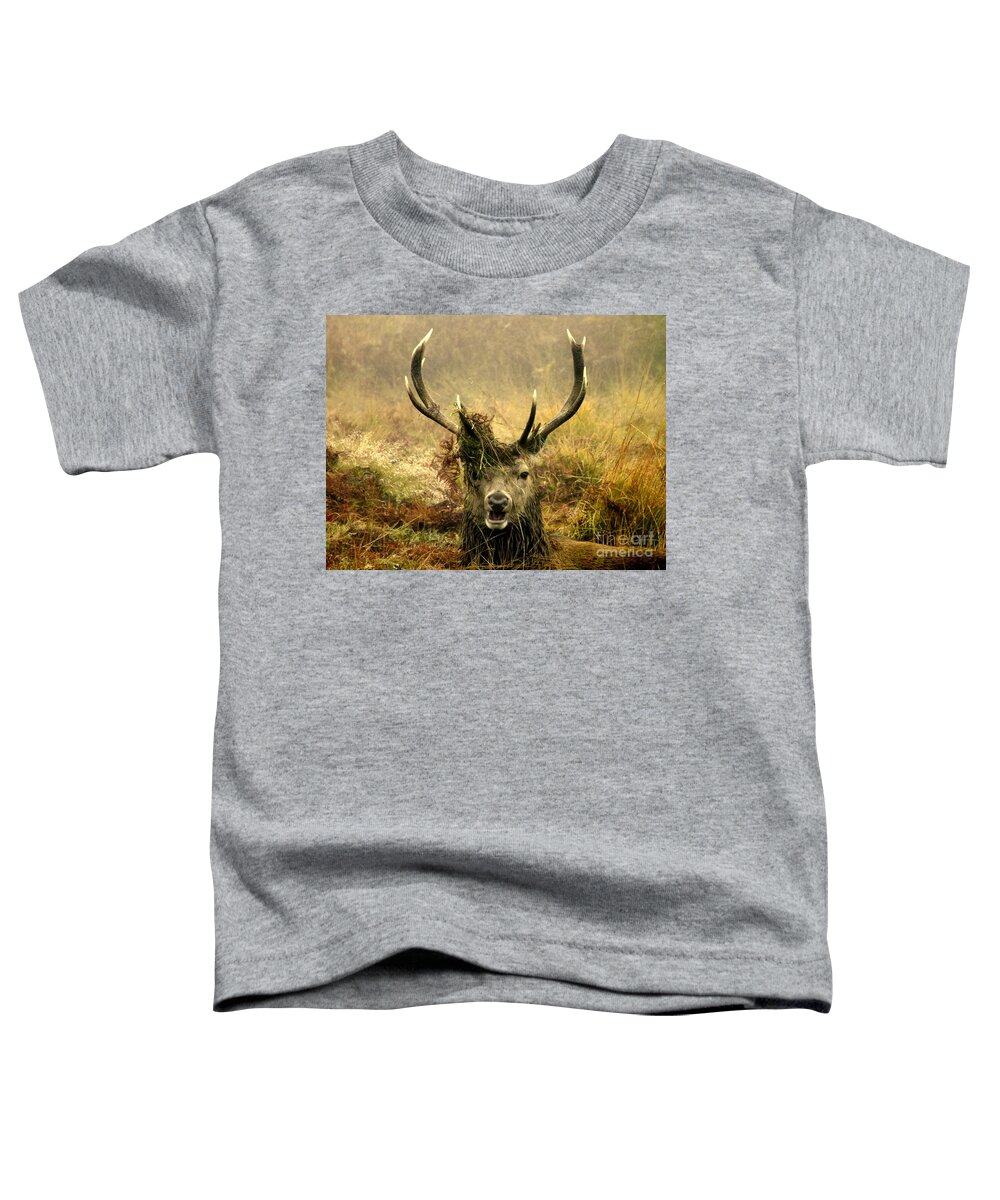Deer Toddler T-Shirt featuring the photograph Stag Party The Series. One More For The Road by Linsey Williams
