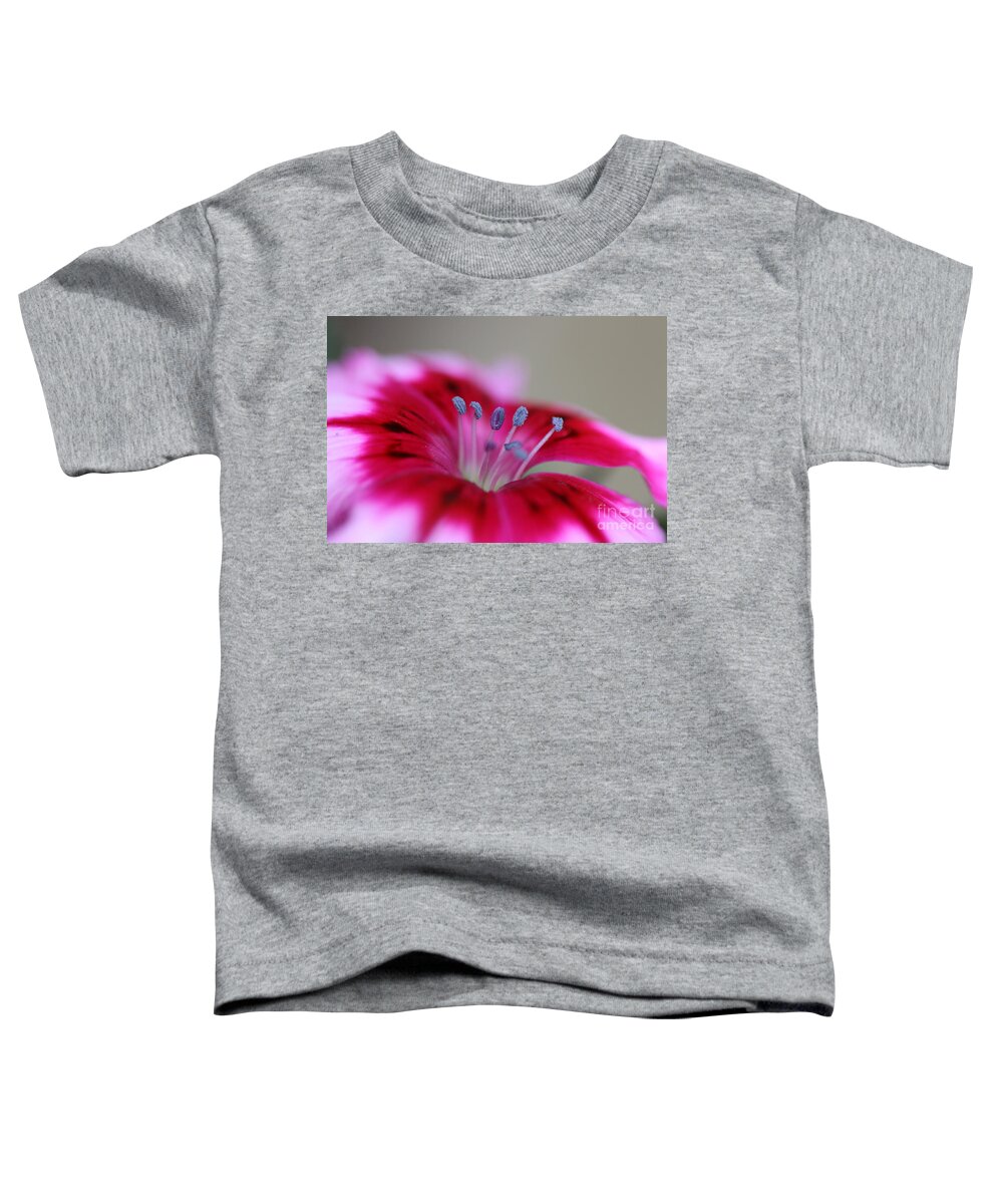 Sweet William Toddler T-Shirt featuring the photograph Standing tall Sweet William by Joy Watson