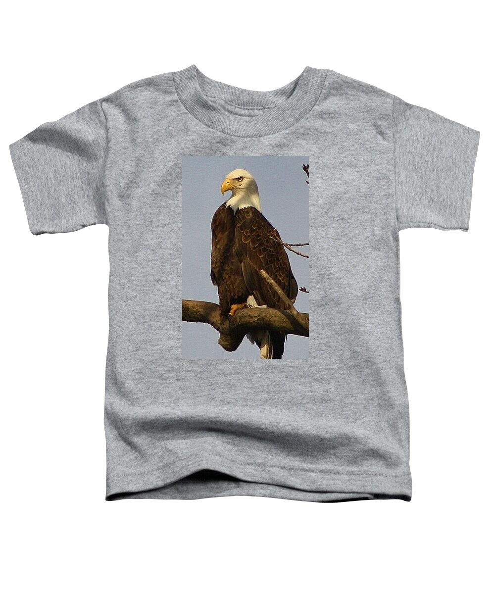 Bird Toddler T-Shirt featuring the photograph Standing Watch by Bruce Bley