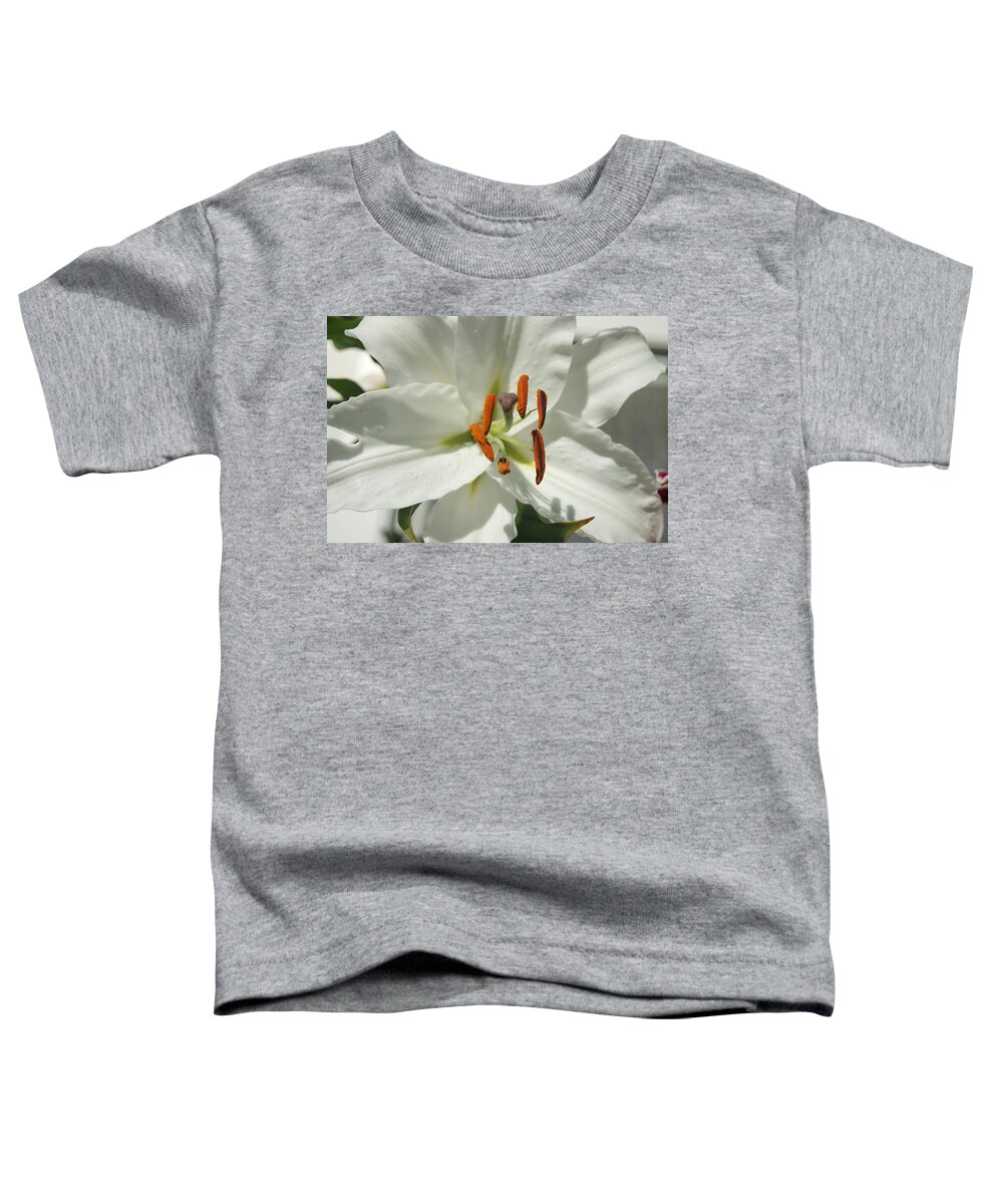 Casa Blanca Toddler T-Shirt featuring the photograph Star of the Show by Beth Collins