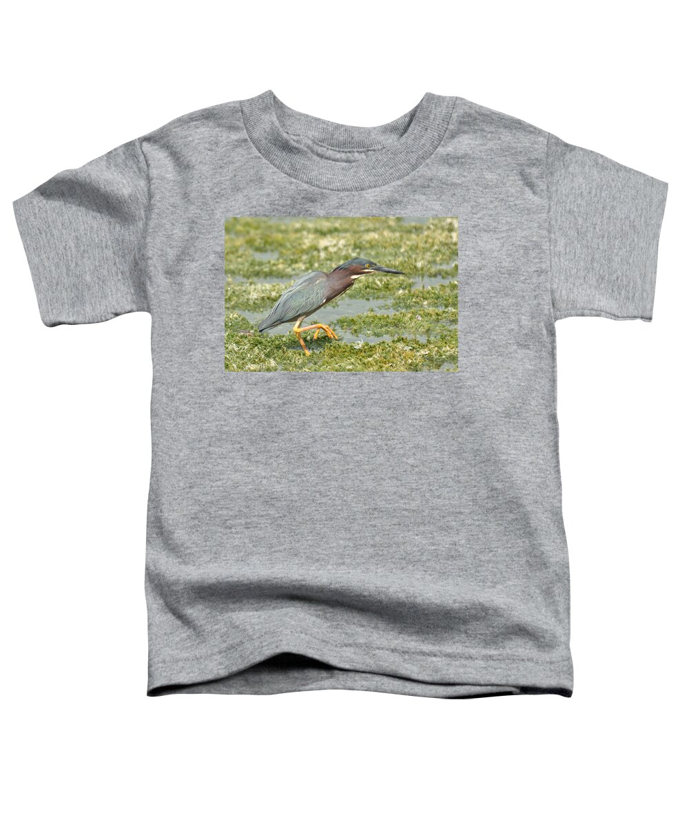Green Toddler T-Shirt featuring the photograph Still Looking by Frank Madia