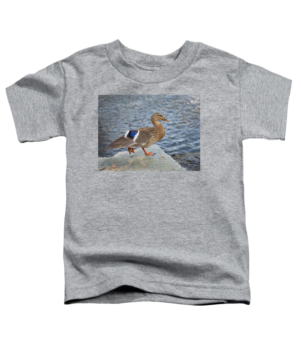Duck Toddler T-Shirt featuring the photograph Stylin Duck by Bill Pevlor
