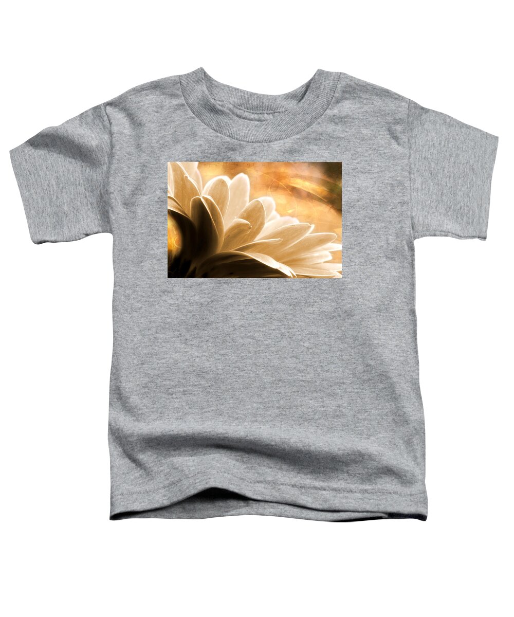 Gerbera Daisy Toddler T-Shirt featuring the photograph Summer Song by Michael Eingle