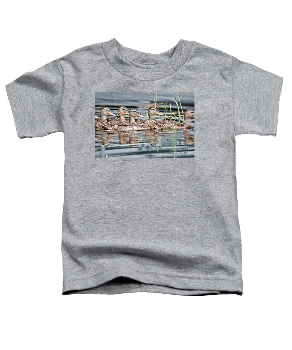 Ducks Toddler T-Shirt featuring the photograph Swimming Quacks by Cheryl Baxter