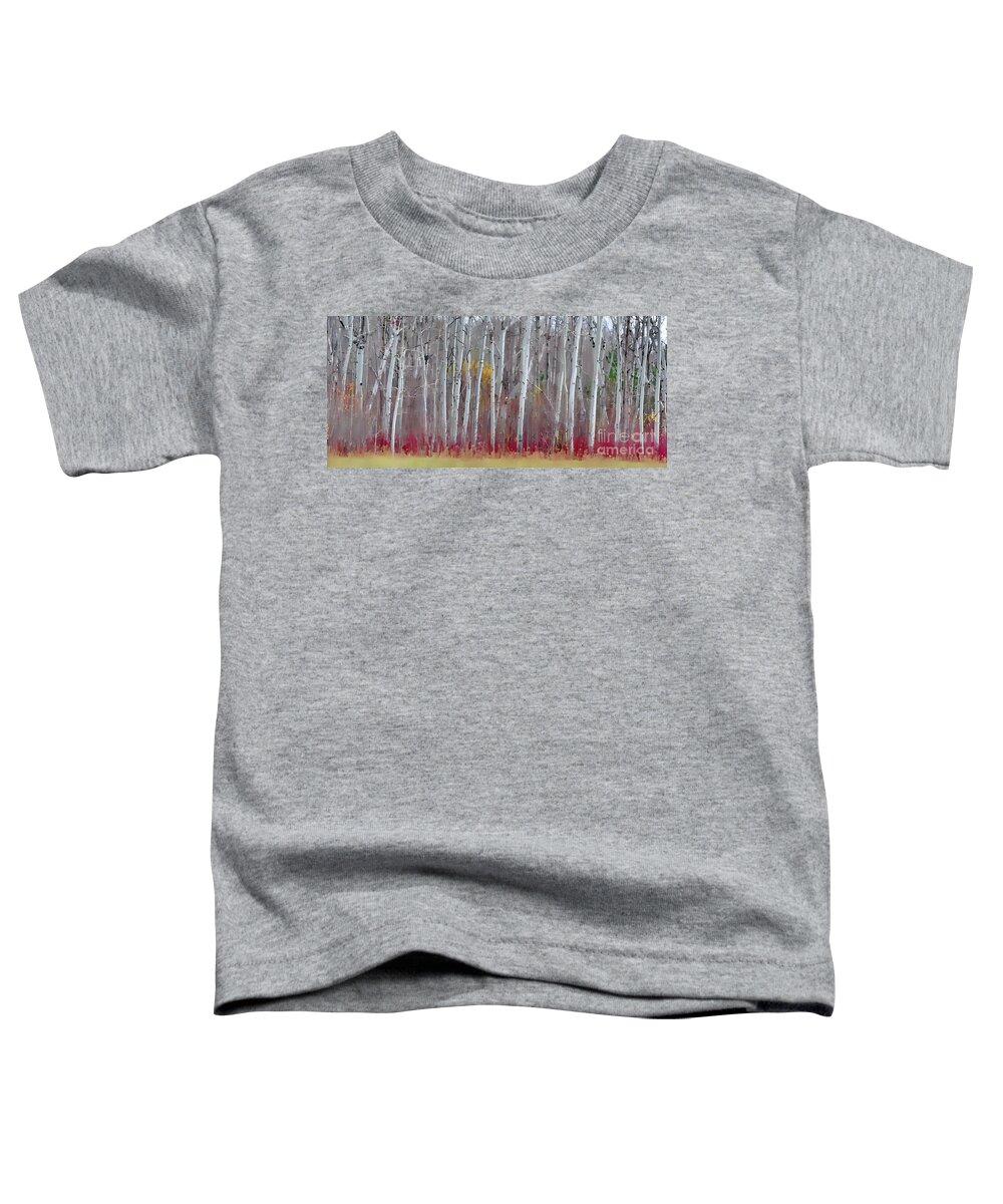 Fall Panorama Toddler T-Shirt featuring the photograph The Birches Panorama by Andrea Kollo